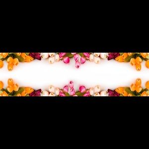 Meet your Posher, Daisy